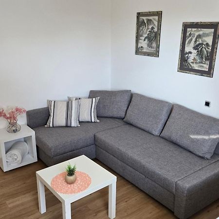 Vila Rajska Ptica Bled Bagian luar foto
