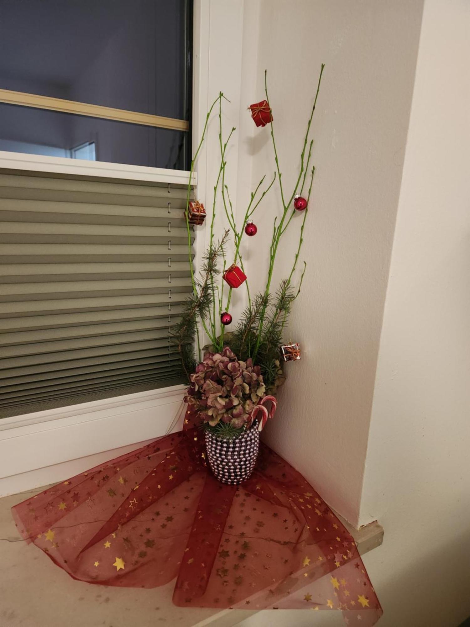 Vila Rajska Ptica Bled Ruang foto